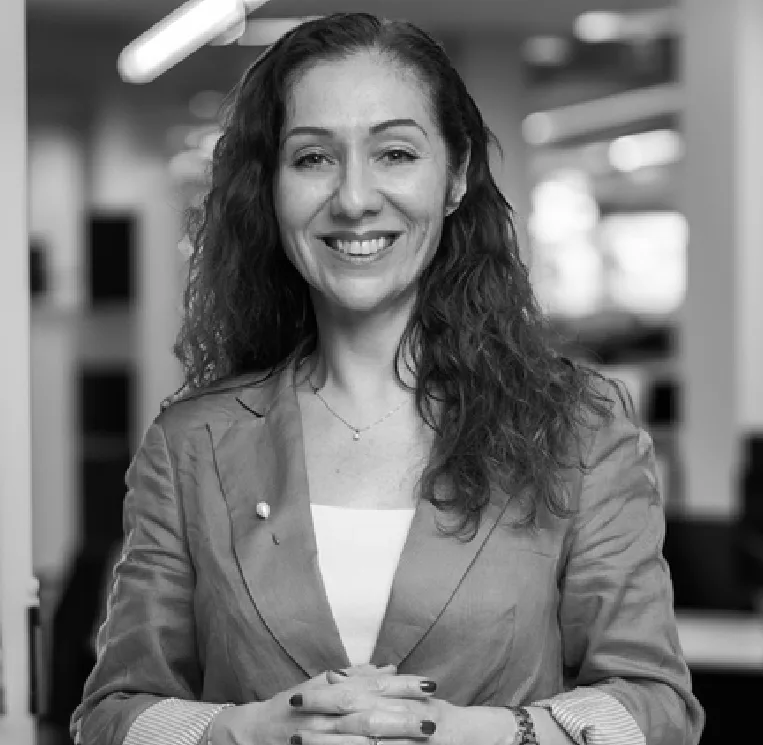Nazlı Ercilli Soylu
